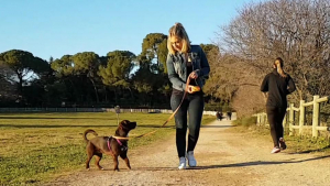 femme promenant un chien