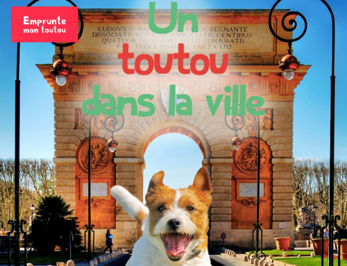 Un toutou dans la ville : les chiens à Nanterre