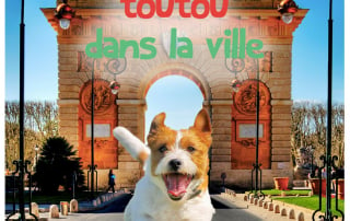 photo de chien devant un arc de triomphe