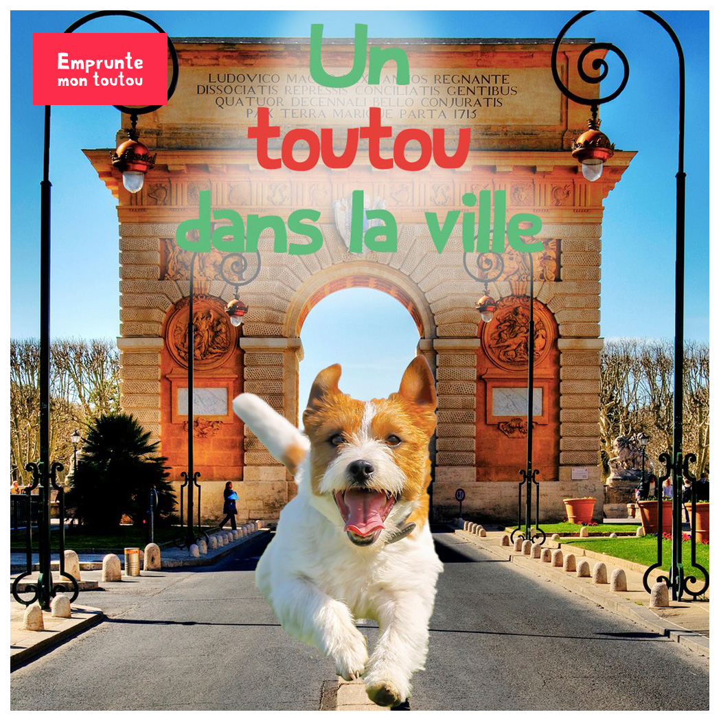 Parc Pour Chiens - Retours Gratuits Dans Les 90 Jours - Temu France