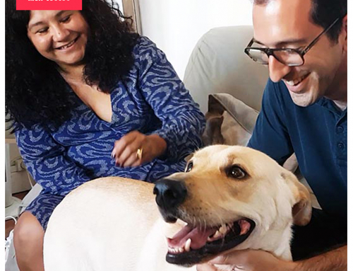 Avis des propriétaires de chien pour la garde de chien gratuite sur Emprunte Mon Toutou