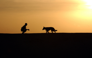 chien et homme dans le désert