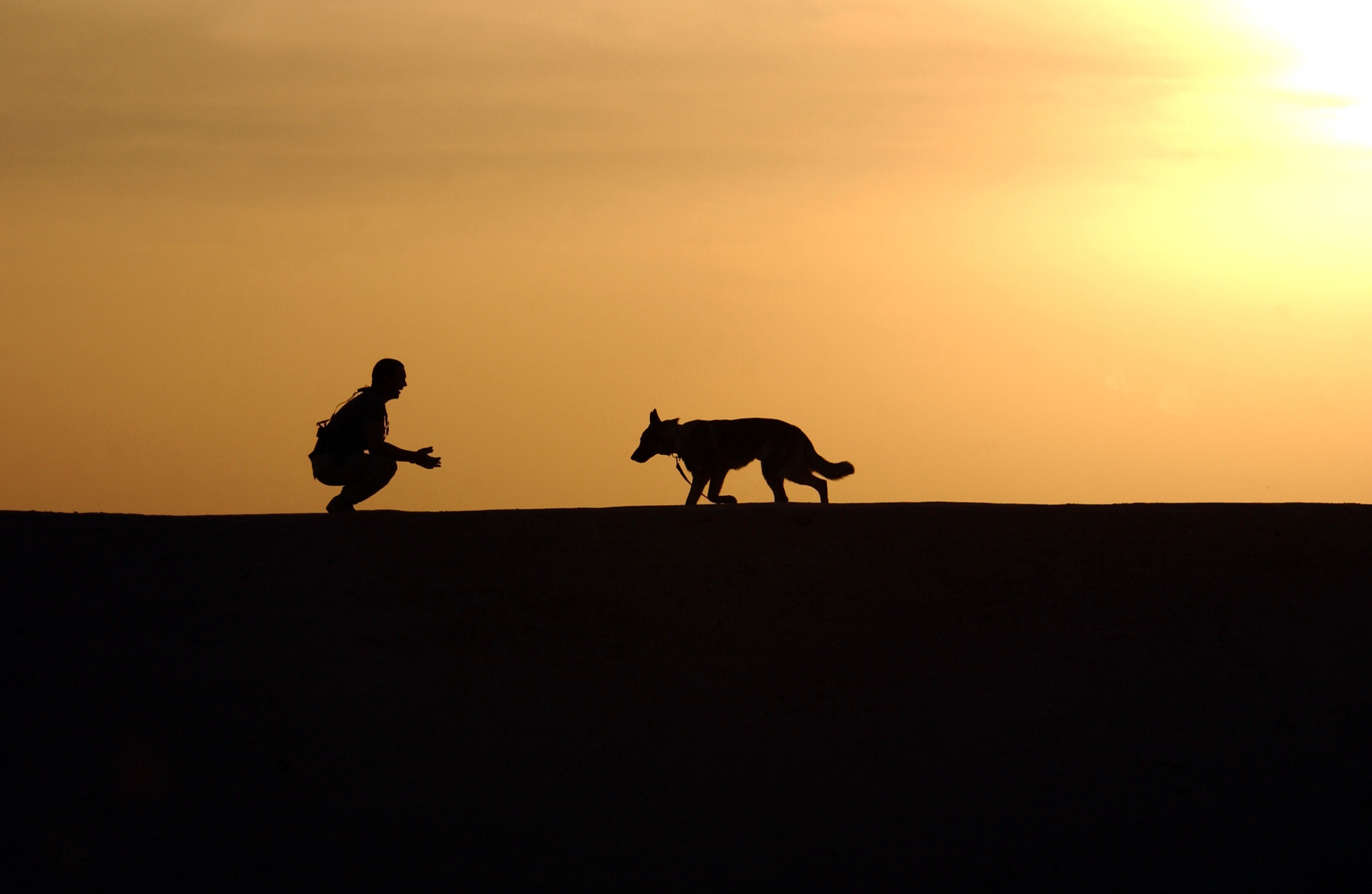 chien et homme dans le désert