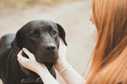 chien noir se faisant caresser par jene femme