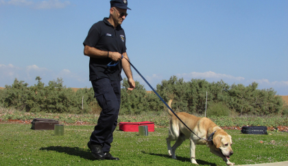 policier tenant un labrador en laisse