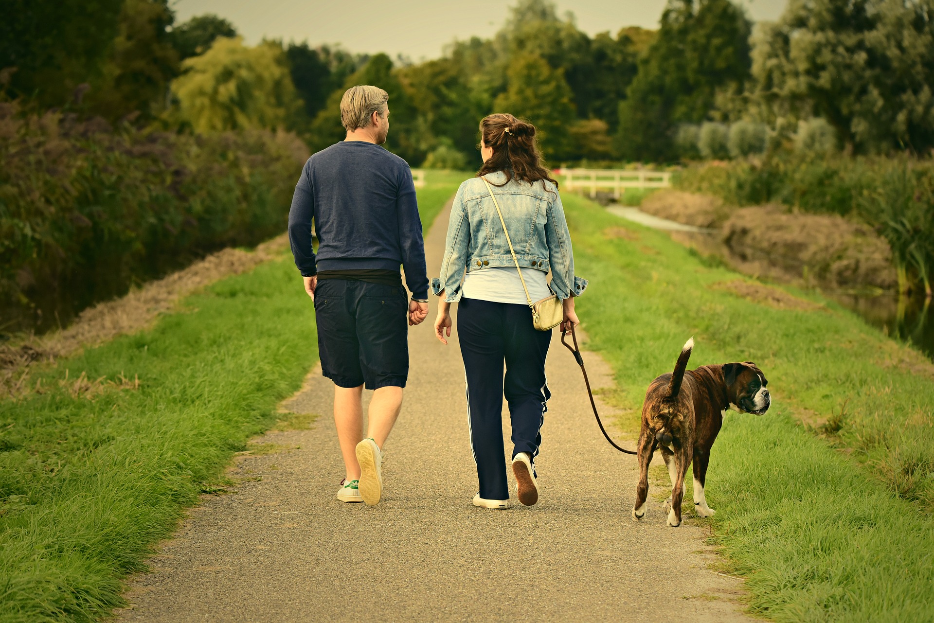 couple promenant un chien