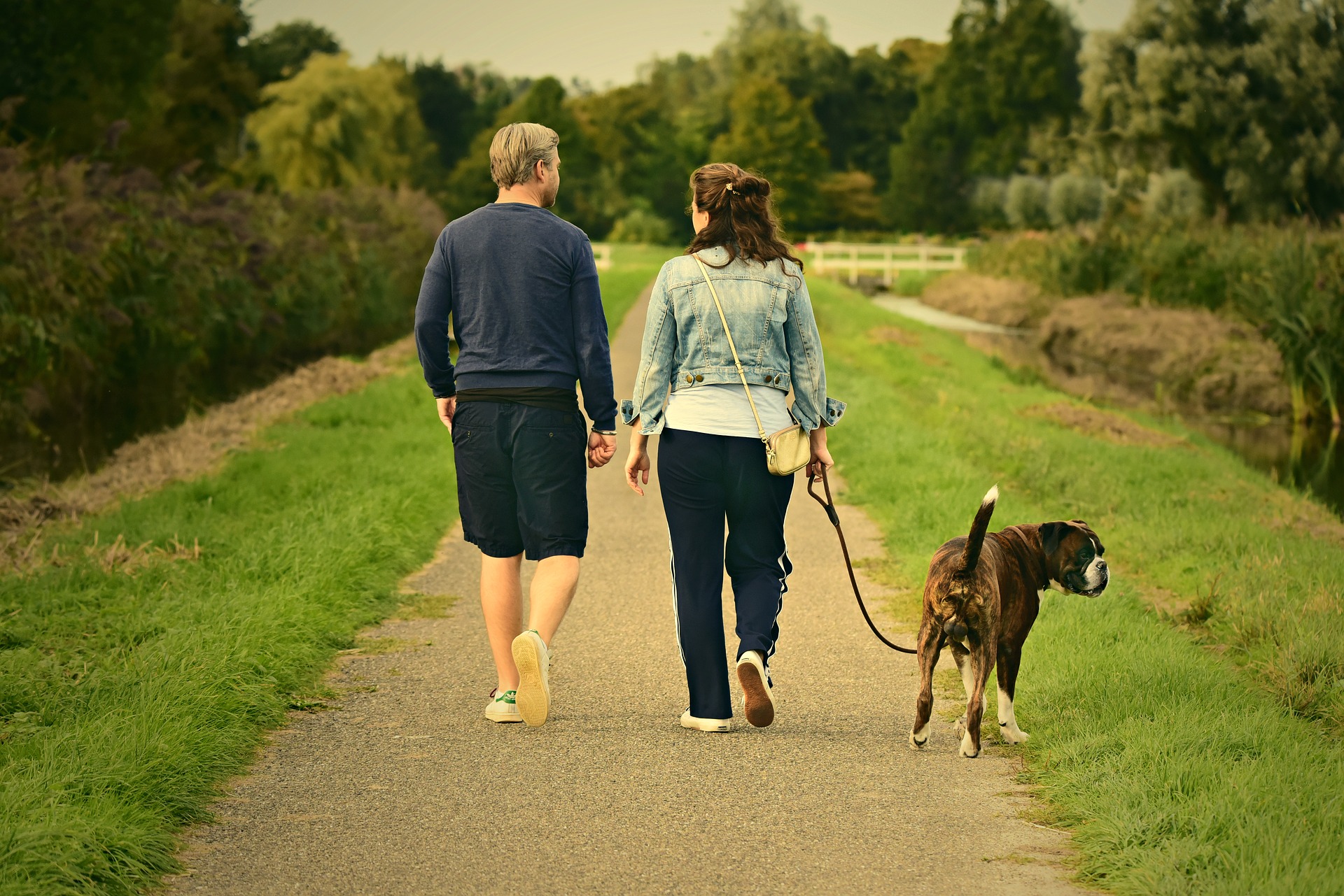 couple baladant un chien