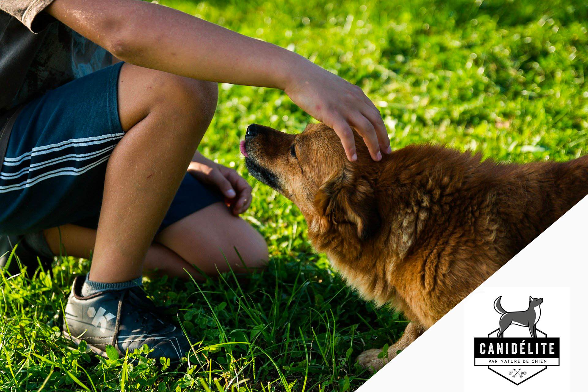 HOMME QUI CARESSE UN CHIEN