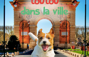 Toutou dans la ville : Grenoble