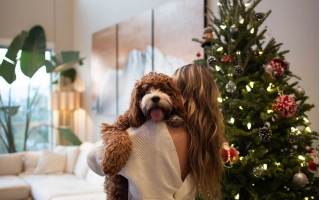 Mon super Noël avec un toutou, témoignage de Manon