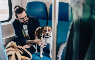 Comment partir en vacances avec votre chien ? 