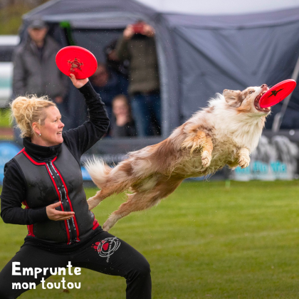 pratiquer le frisbee avec son chien