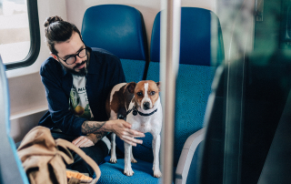 partir en vacances avec votre chien