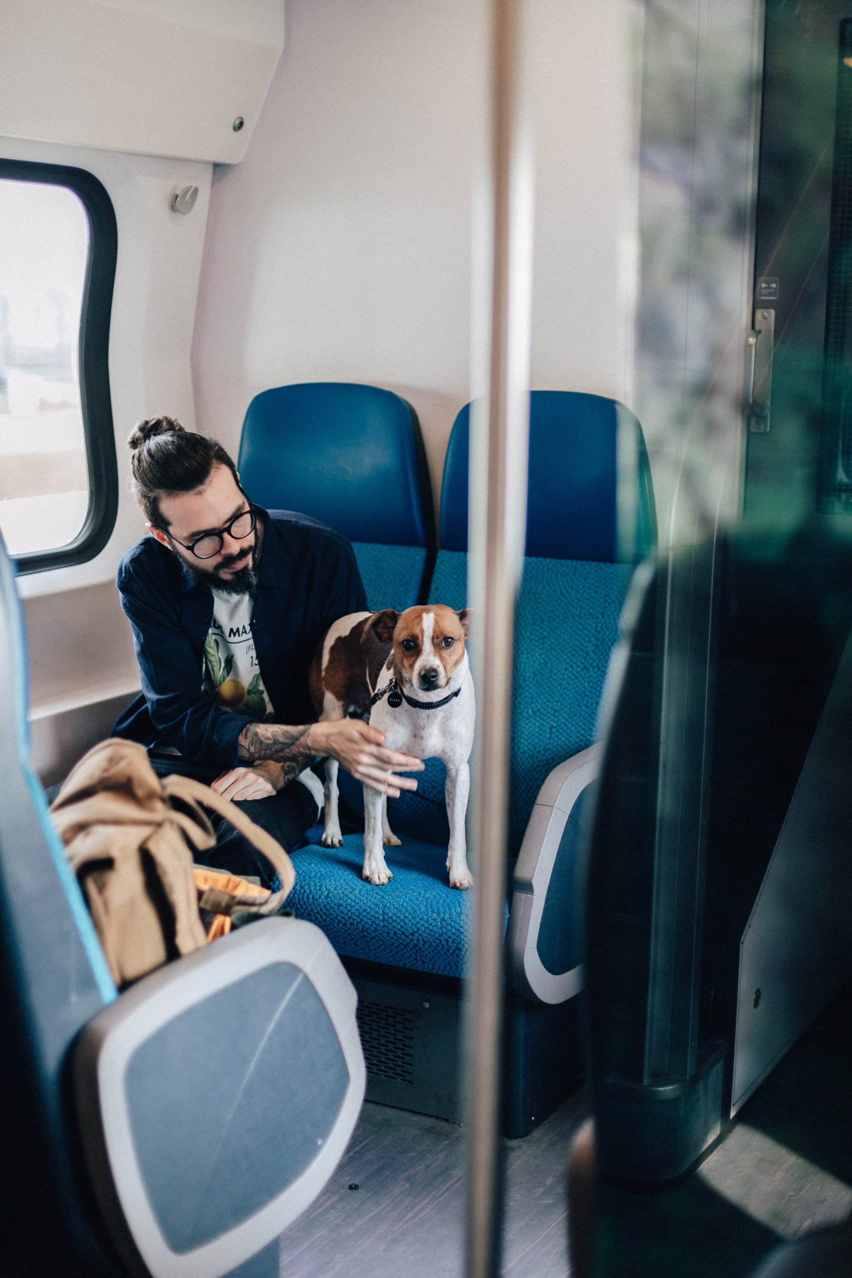 partir en vacances avec votre chien