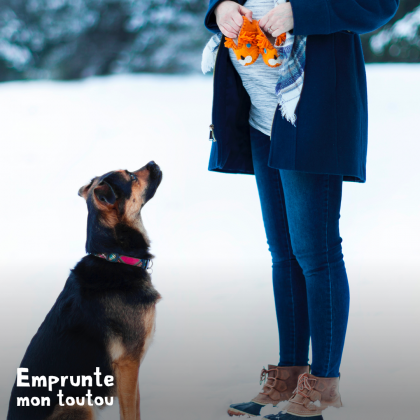 femme enceinte et chien dans la neige