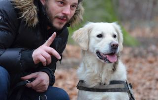 eduquer son chien avec le clicker