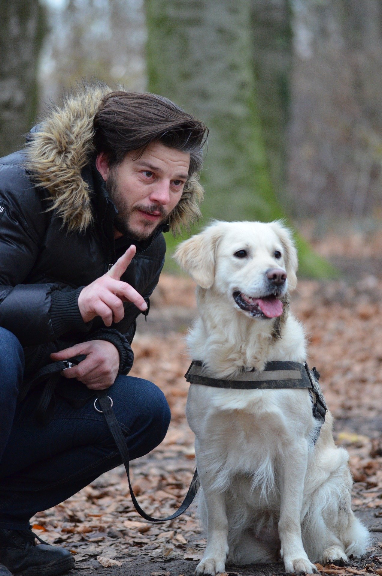 eduquer son chien avec le clicker