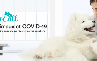 VetCall, plateforme d'appels