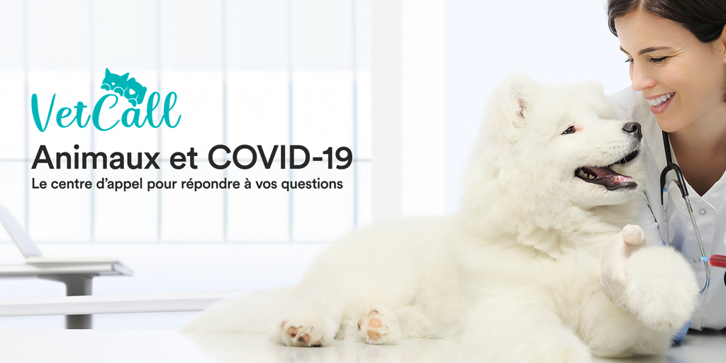 VetCall, plateforme d'appels