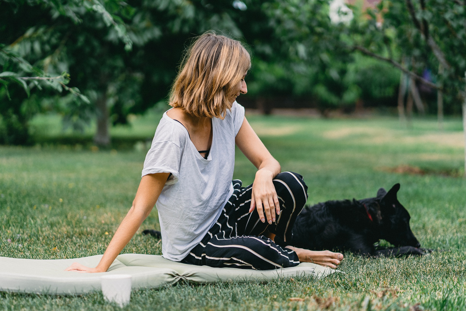 bien vivre le deconfinement avec son chien