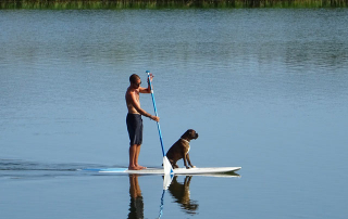 HOMME PRATIQUANT LE CANI-PADDLE