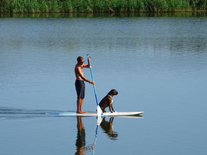 le Cani-paddle