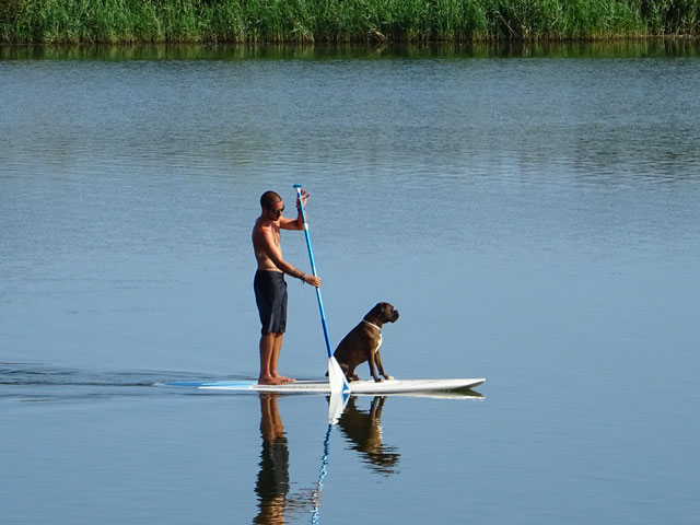 HOMME PRATIQUANT LE CANI-PADDLE