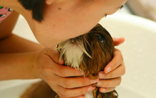 jeune femme embrassant son chien