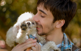 JEUNE GOMME CALINANT UN CANICHE