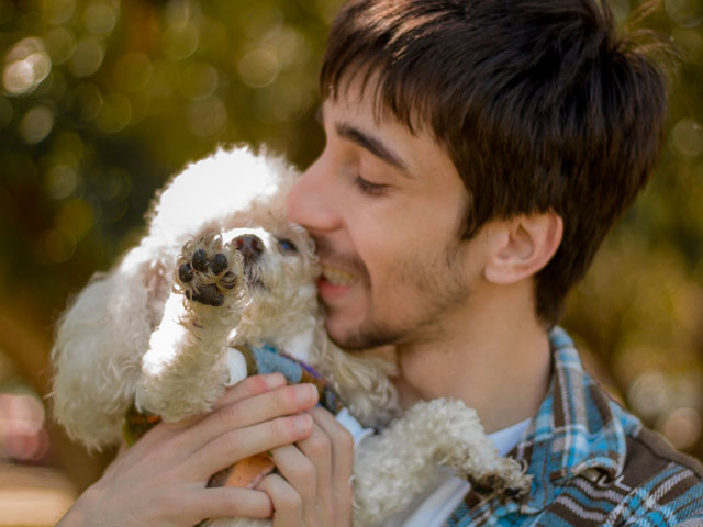 JEUNE GOMME CALINANT UN CANICHE