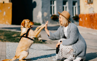 FEMME ET CHIEN FAISANT UN HIGH FIVE