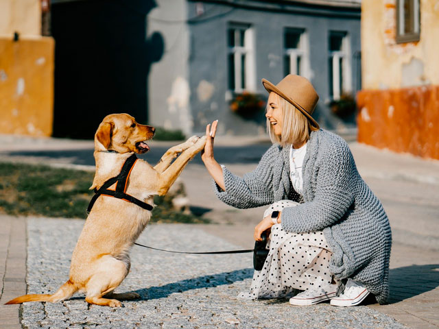 FEMME ET CHIEN FAISANT UN HIGH FIVE