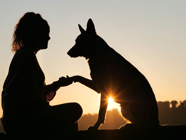 silhouette d'une femme tenant son chien par la patte
