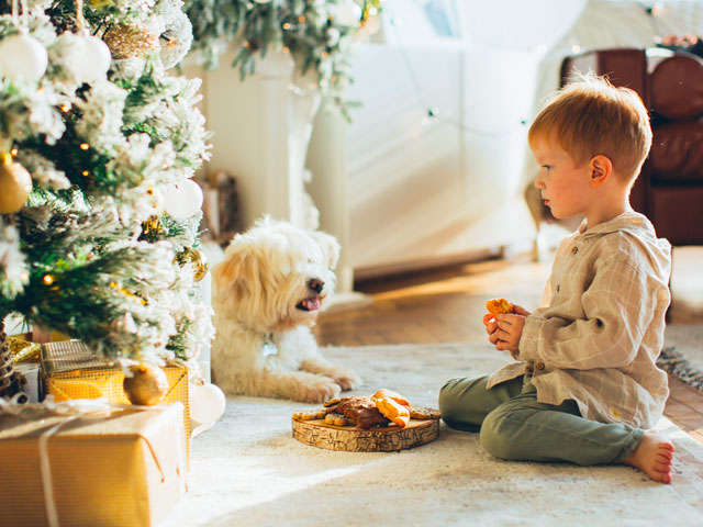 ENFANT ET SON CHIEN DEVANT UN SAPIN DE NOEL