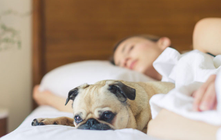 jeune femme dormant avec son chien