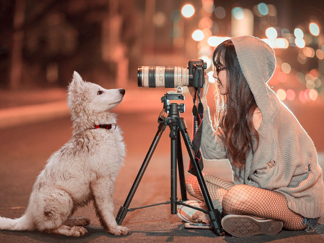 JEUNE FEMME PRENANT SON CHIEN EN PHOTO