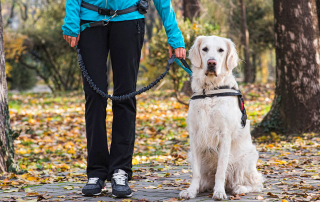 femme en tenue de randonnée tenant un chien en laisse