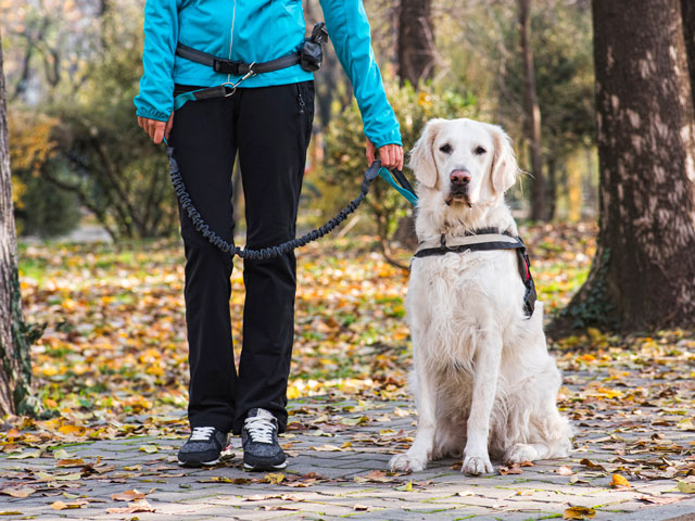 femme en tenue de randonnée tenant un chien en laisse