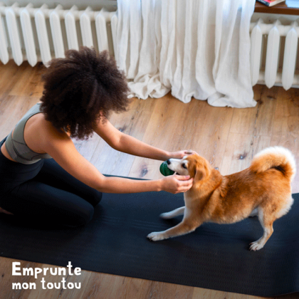 femme faisant du yoga avec un chien de race Shiba Inu