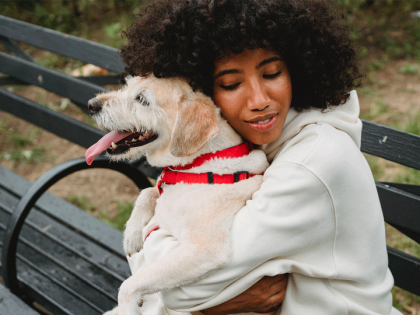 Construire une relation de confiance avec un chien