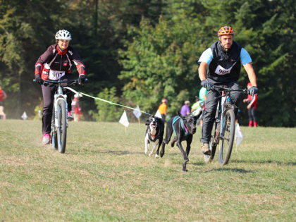 Conseils pour pratiquer un sport canin avec votre chien