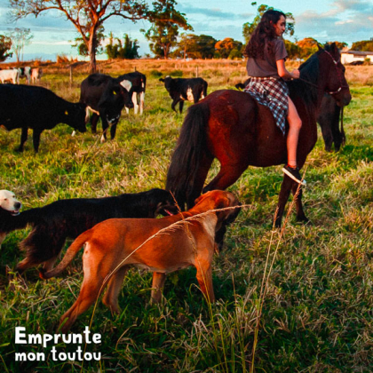 CHIENS SUIVANT UNE FEMME À CHEVAL