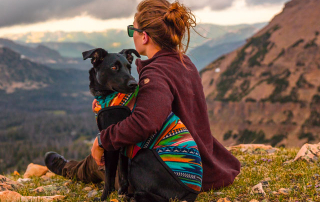 femme encerclant un chien