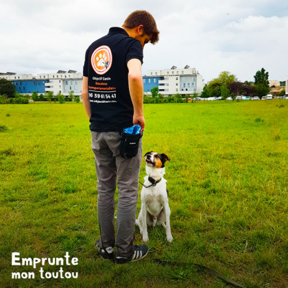 Educateur comportementaliste canin