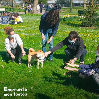 séance d'éducation canine