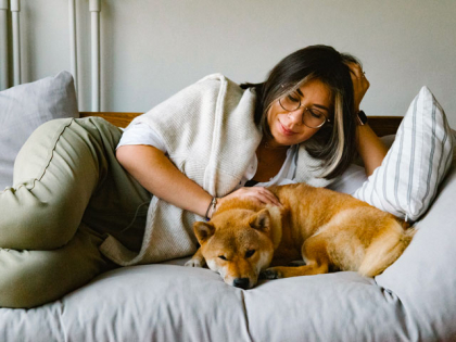 Chien se faisant câliner