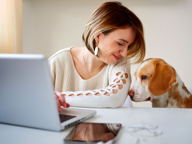 jeune femme commandant sur internet en compagnie de son chien