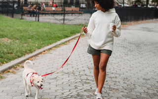 jeune femme promenant un chien en ville