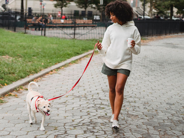 jeune femme promenant un chien en ville