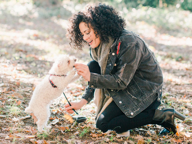 femme nourrissant son chien